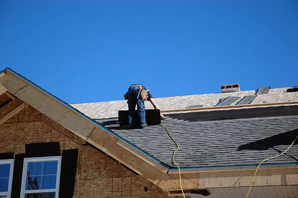 Best Metal Roofing Contractor  in Rock Falls, IL