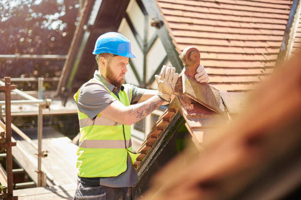 Best Roof Leak Repair  in Rock Falls, IL